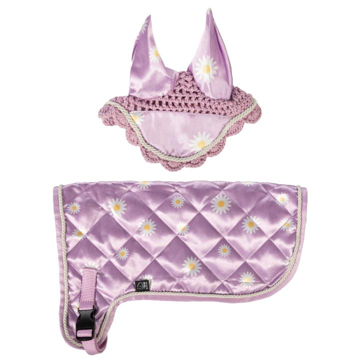 Lila mit Gänseblümchen